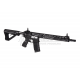 GC16 E.T.U. Wild Hog 13.5 Inch