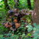 3D Ghillie – Shoulder Piece - Everglade