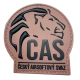 Patch "ČAS" Czech Airsoft Union - TAN